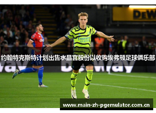 约翰特克斯特计划出售水晶宫股份以收购埃弗顿足球俱乐部